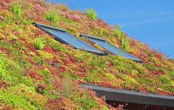 Gawthorpe living roof systems