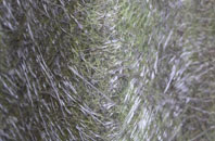 Gawthorpe fibreglass roof work